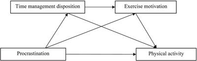 The effects of procrastination on physical activity among Chinese university students: the chain-mediated effects of time management disposition and exercise motivation